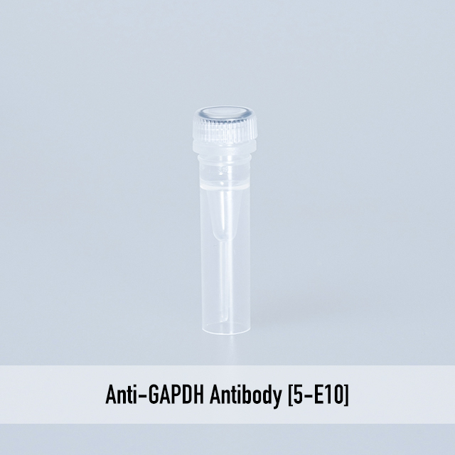 Anti-GAPDH Antibody [5-E10]