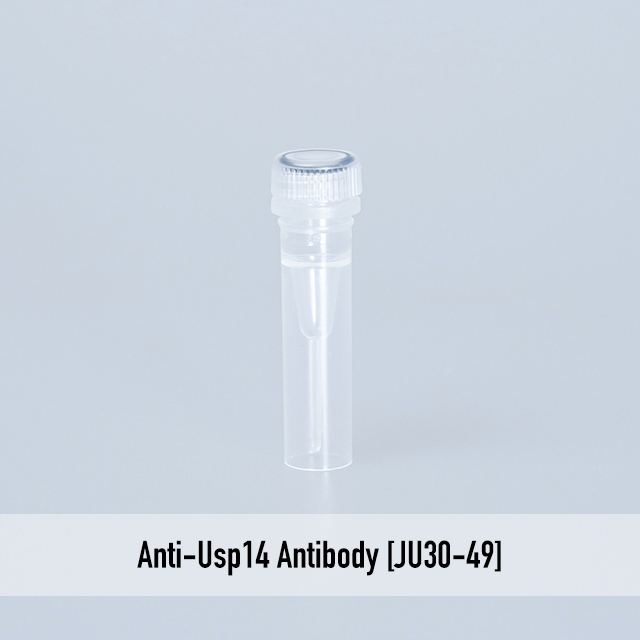 Anti-Usp14 Antibody [JU30-49]