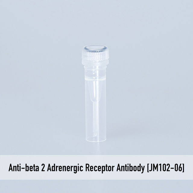 Anti-beta 2 Adrenergic Receptor Antibody [JM102-06]