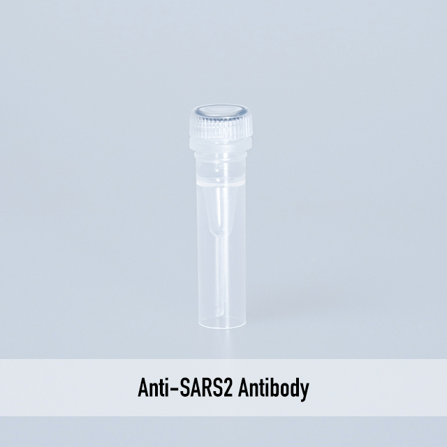 Anti-SARS2 Antibody