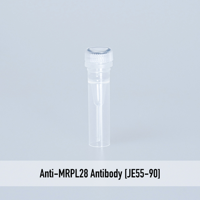 Anti-MRPL28 Antibody [JE55-90]