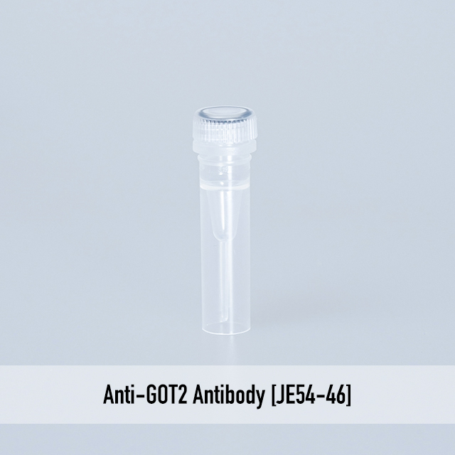 Anti-GOT2 Antibody [JE54-46]