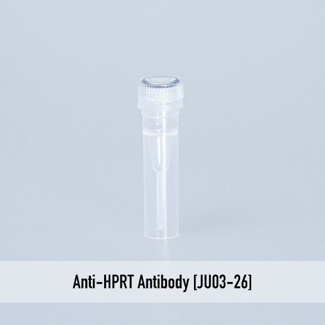 Anti-HPRT Antibody [JU03-26]