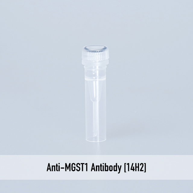 Anti-MGST1 Antibody [14H2]