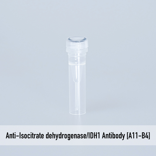 Anti-Isocitrate dehydrogenase/IDH1 Antibody [A11-B4]