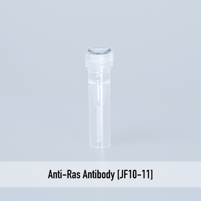 Anti-Ras Antibody [JF10-11]